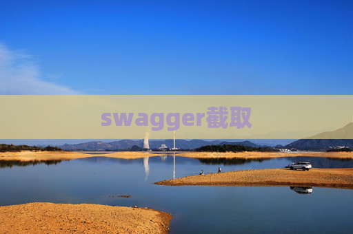 swagger截取